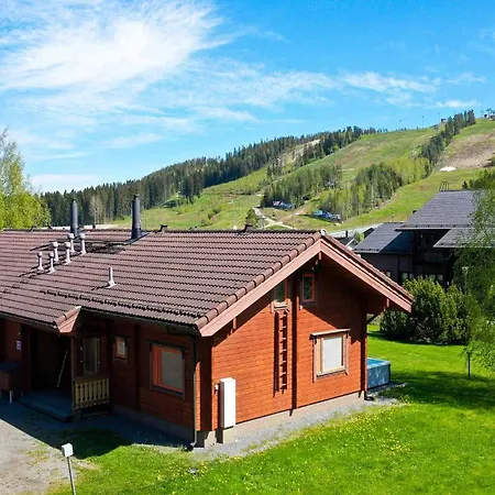 Kastanja & Persikka - 16 Hloe, Molemmat Puolet, Both Sides, Himoslaakso Ski-inout * Jämsä